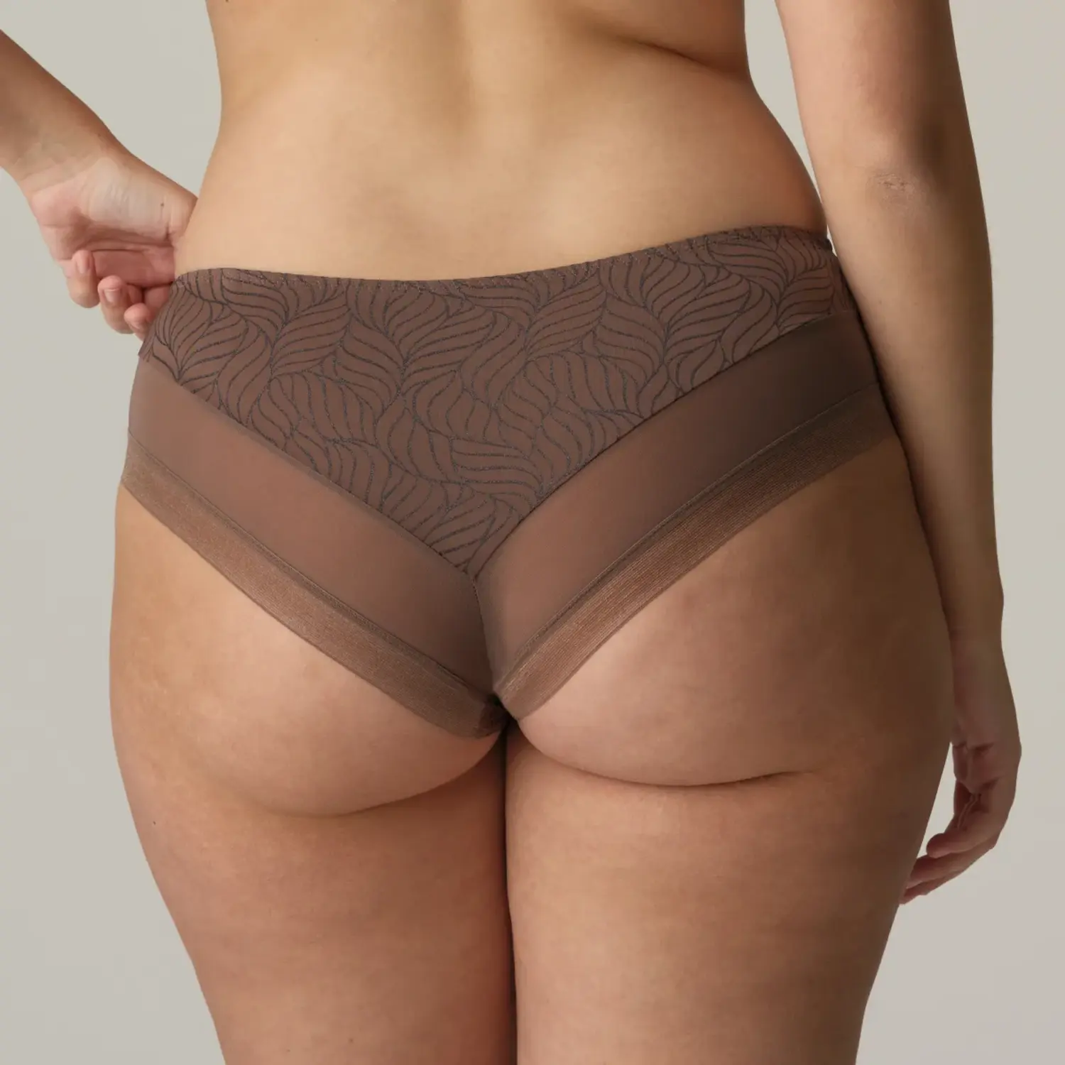 eservices_primadonna_twist-lingerie-hotpants-ajusco-0542402-brown-3_3585541_big_image.webp